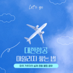 미국 거주자를 위한 대한항공 마일리지 적립 가이드 썸네일 이미지
