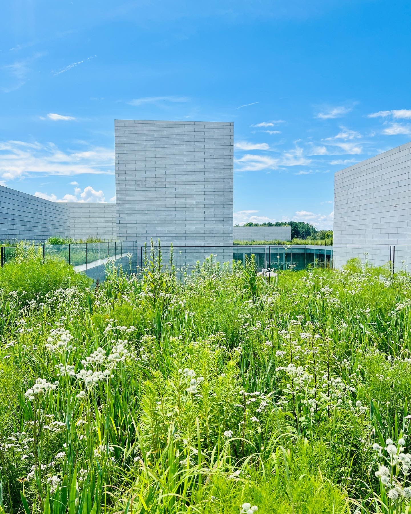 푸른 초원과 와일드가든 사이로 보이는 Glenstone Museum Modern Pavilion의 미니멀한 건축, 자연과 예술이 어우러진 전경