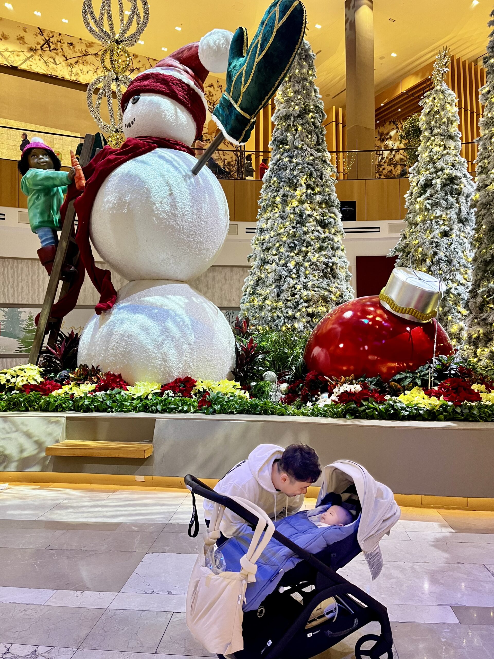 Bugaboo Dragonfly 유모차에 패딩 풋머프를 사용 중인 Global Sally 가족의 따뜻한 겨울 외출