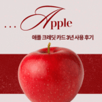 애플 카드 3년 사용 후기 이미지, 붉은 사과와 핑크톤 배경의 감성 디자인