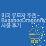 미국 유모차 추천 2025 – Bugaboo Dragonfly 사용 후기 썸네일 (Global Sally)